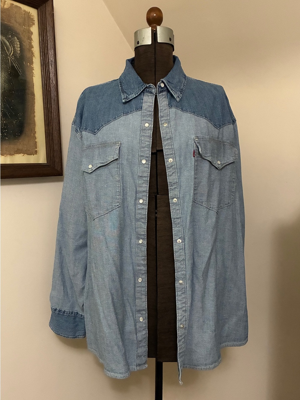Levi’s Two-Tone Denim Western Shirt